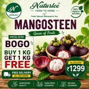 MANGOSTEEN BUY 1 GET 1 FREE