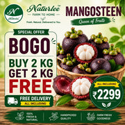 MANGOSTEEN BUY 1 GET 1 FREE