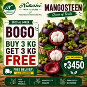 MANGOSTEEN BUY 1 GET 1 FREE